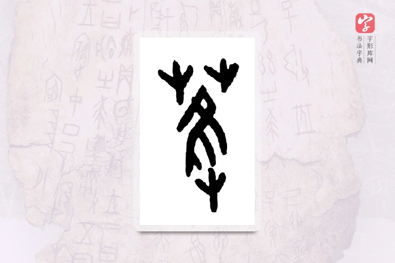 大篆「萑」甲骨文字典