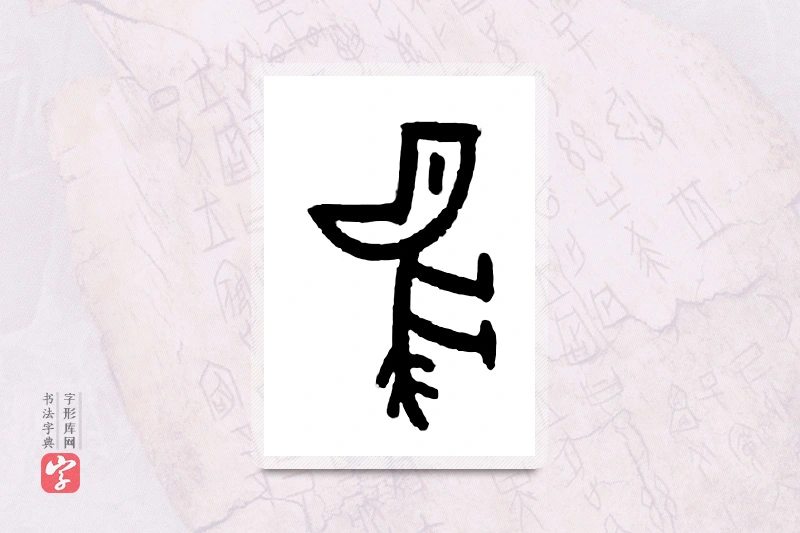 大篆「兕」甲骨文字典