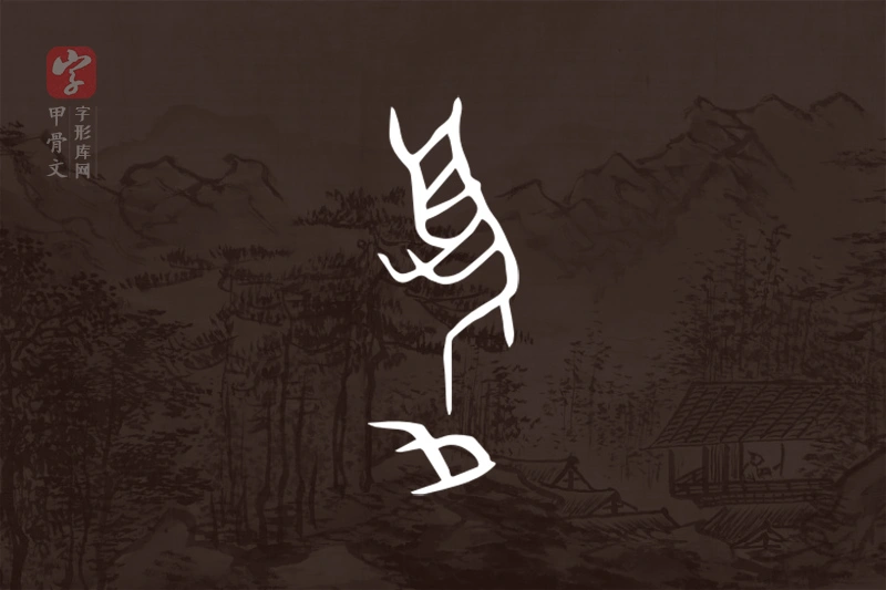 甲骨文“夒”字