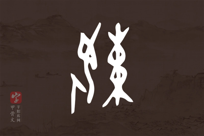 甲骨文“娕”字