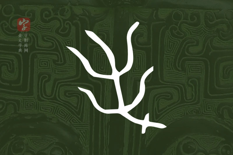 金文“毛”字