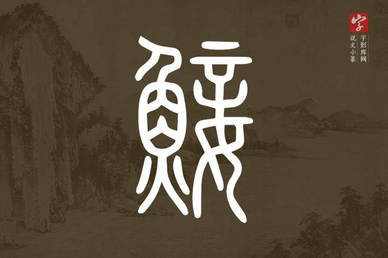 说文小篆文字“鯜”字