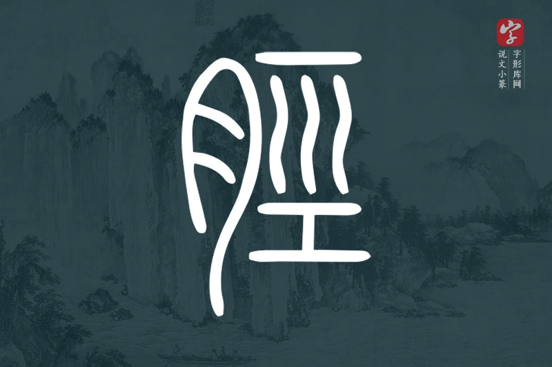 说文小篆文字“脛”字