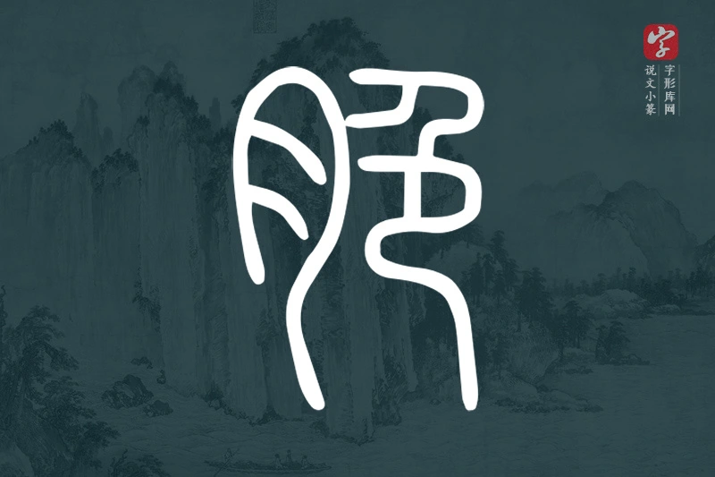 说文小篆文字“脃”字