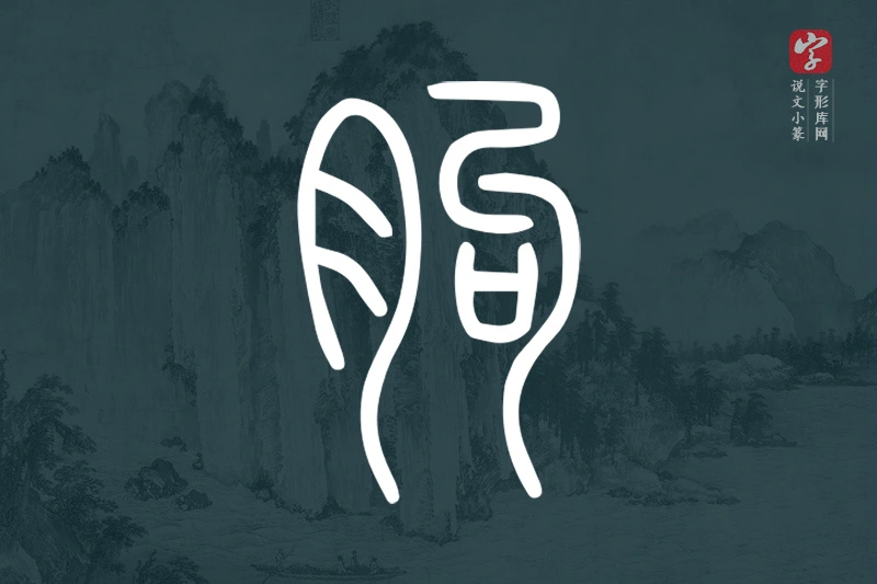 说文小篆文字“胊”字