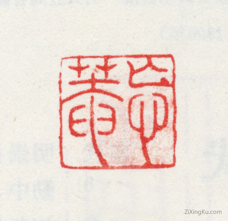 篆刻作品：王武印章·忘菴